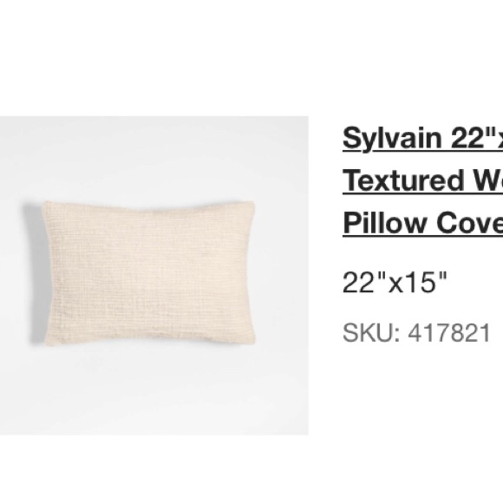 Crate & Barrel Ivory Sylvain Throw Pillow